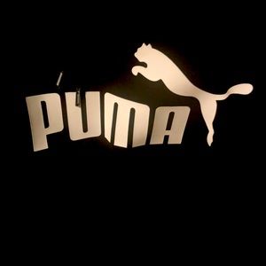 Puma hoodie , brand new , never worn size small